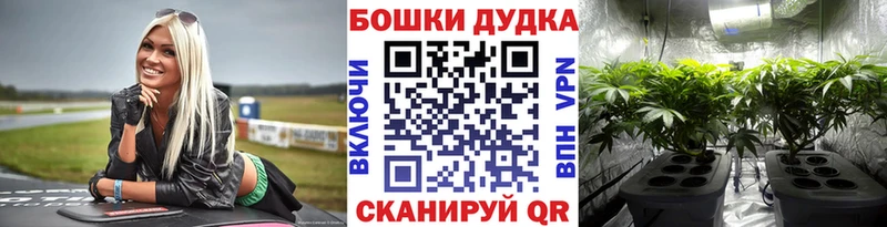 Как найти закладки Междуреченск СОЛЬ Галлюциногенные грибы ГАШ Канабис Меф