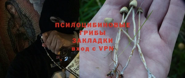 героин Пересвет