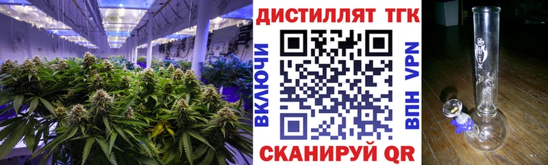 ТГК концентрат  закладка  Междуреченск 