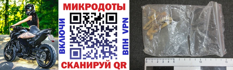 купить наркотики цена Междуреченск Галлюциногенные грибы Cubensis